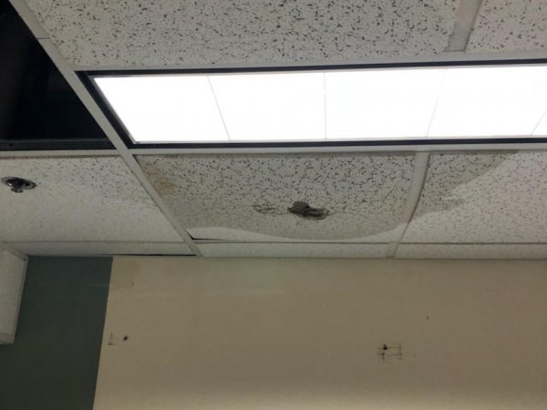 Water damage to a ceiling panel documented on a Stover's Restoration job